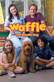 Waffle the Wonderdog