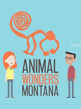 Animal Wonders Montana